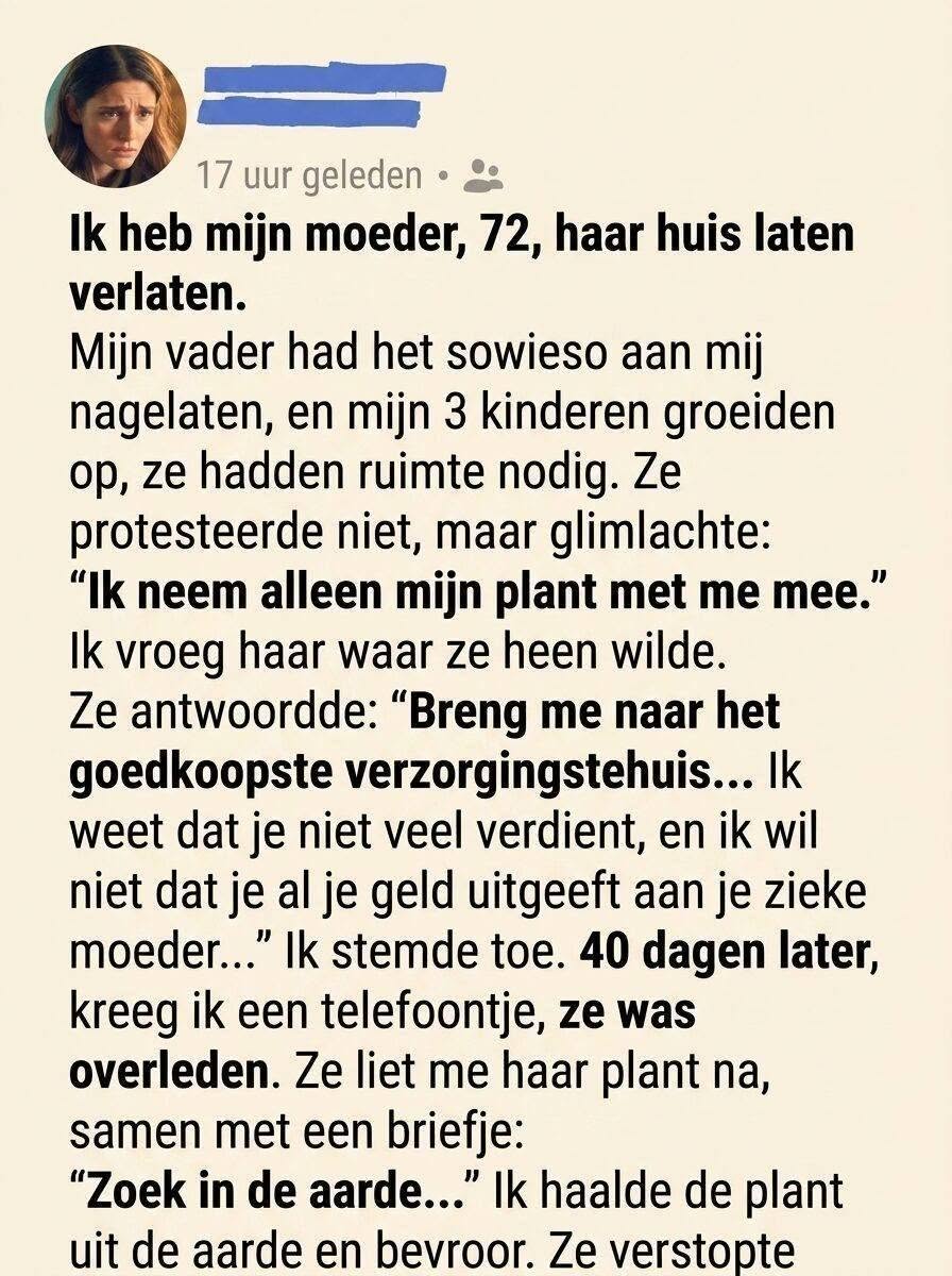 De Eenzame Plant en het Geheim in de Aarde