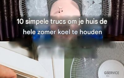 Hoe houd je je huis koel in de zomer: 10 tips en trucs