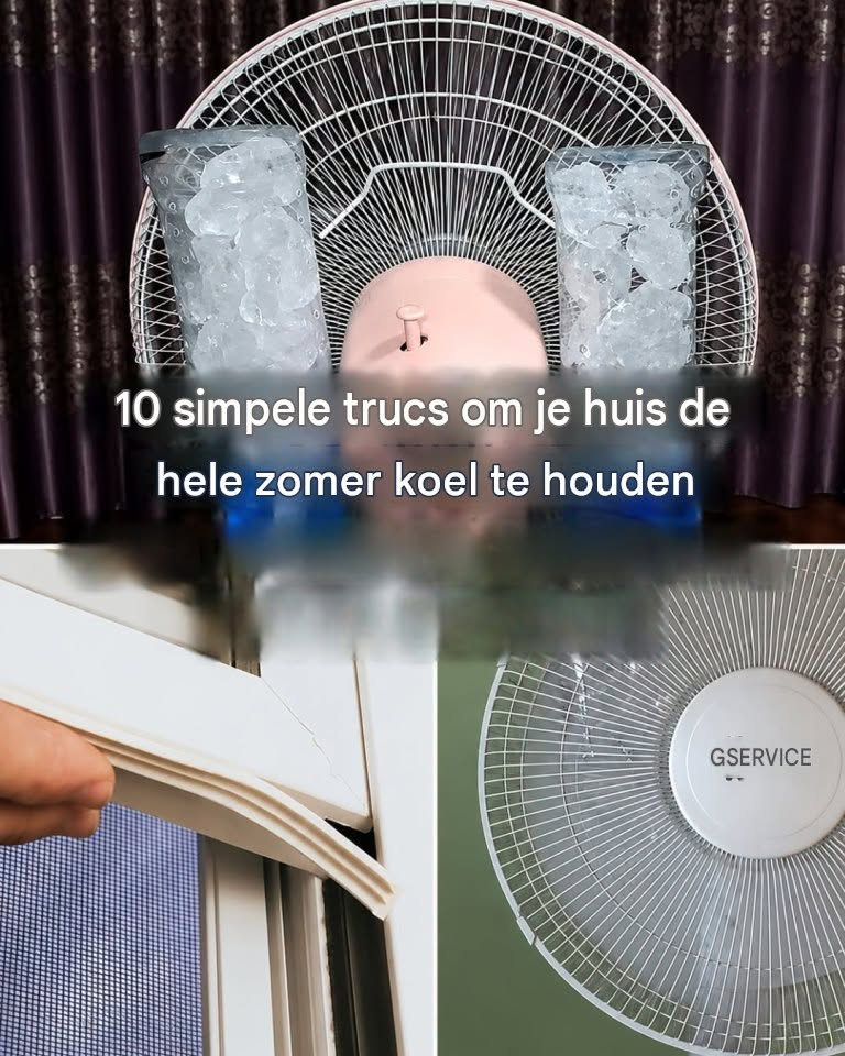 Hoe houd je je huis koel in de zomer: 10 tips en trucs