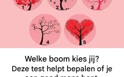 Persoonlijkheidstest: Welke boom kies jij? Een psychologische test die onthult of je een goed mens bent.