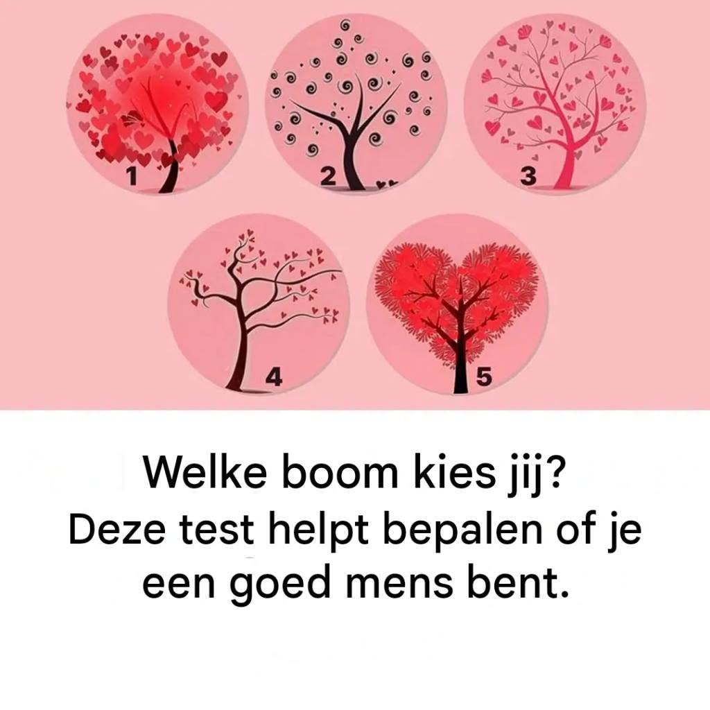 Persoonlijkheidstest: Welke boom kies jij? Een psychologische test die onthult of je een goed mens bent.